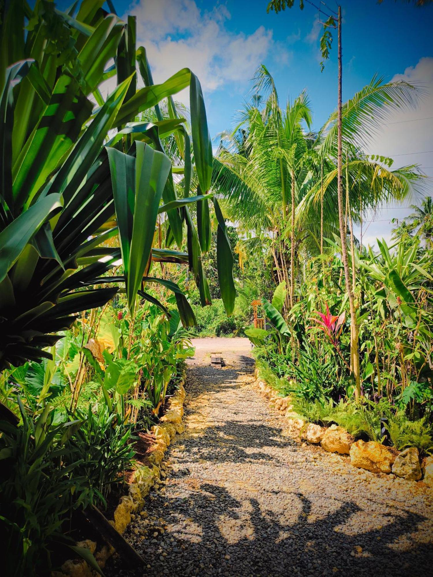 The Ohm Siargao Resort General Luna  Luaran gambar