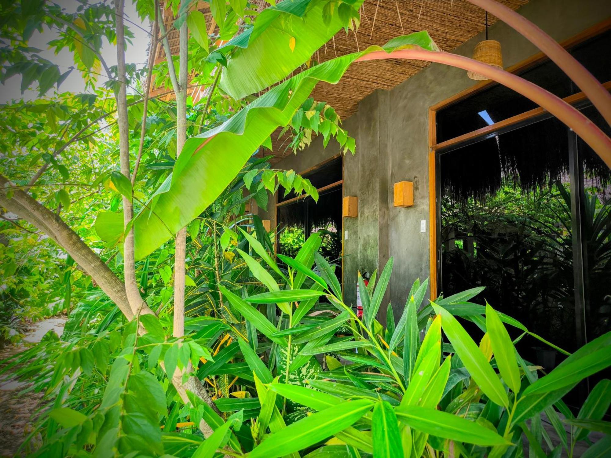 The Ohm Siargao Resort General Luna  Luaran gambar